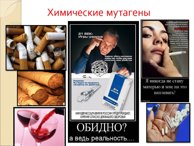 Химические мутагены